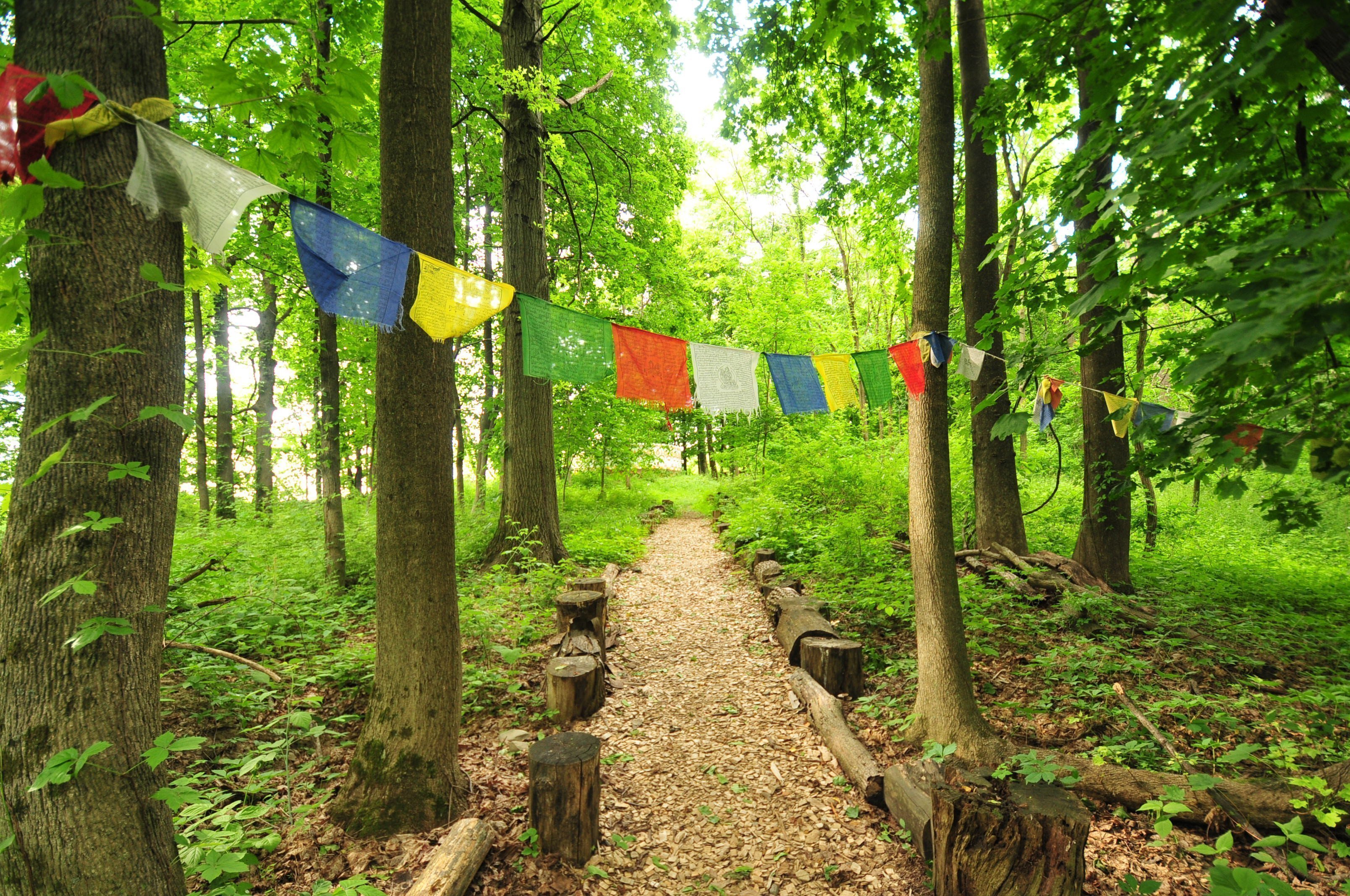 CoSM Wisdom Trail
