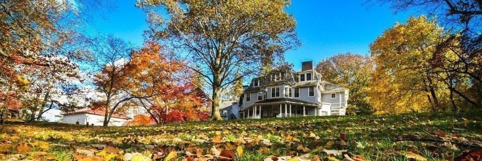 Grey House